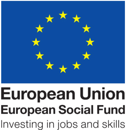 EU European Social Fund Logo